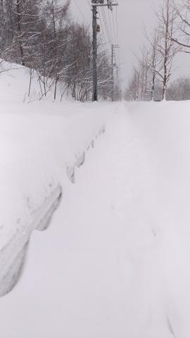 今日も雪