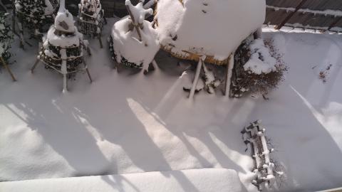 積雪