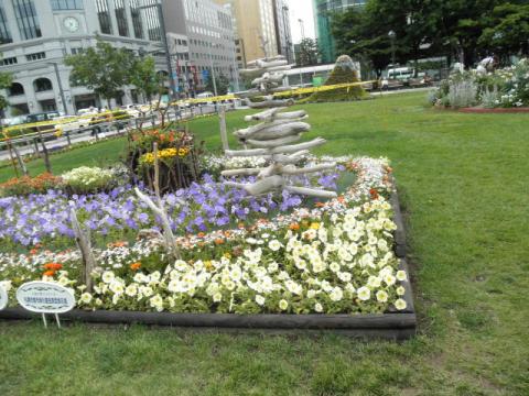 札幌大通り公園の花壇