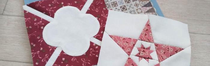 Dear Jane Quilt G5.6