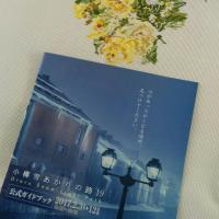 黄色いバラ7