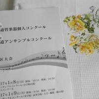 黄色いバラ4
